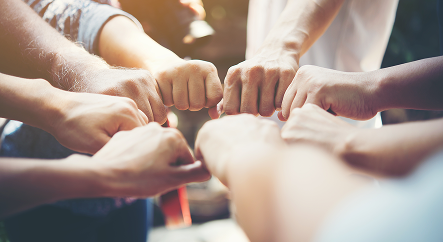 Vinculación con redes de apoyo comunitario